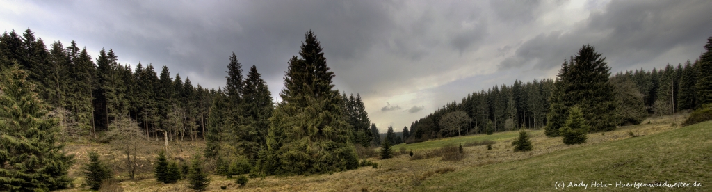 Aprilwetter im Wüstebachtal