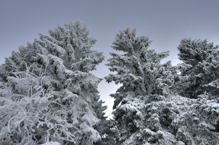 Traumhafter Wintertag am 4. Januar in der Noreifel