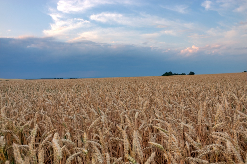 Der Juli 2011 in Bildern aus der Nordeifelregion