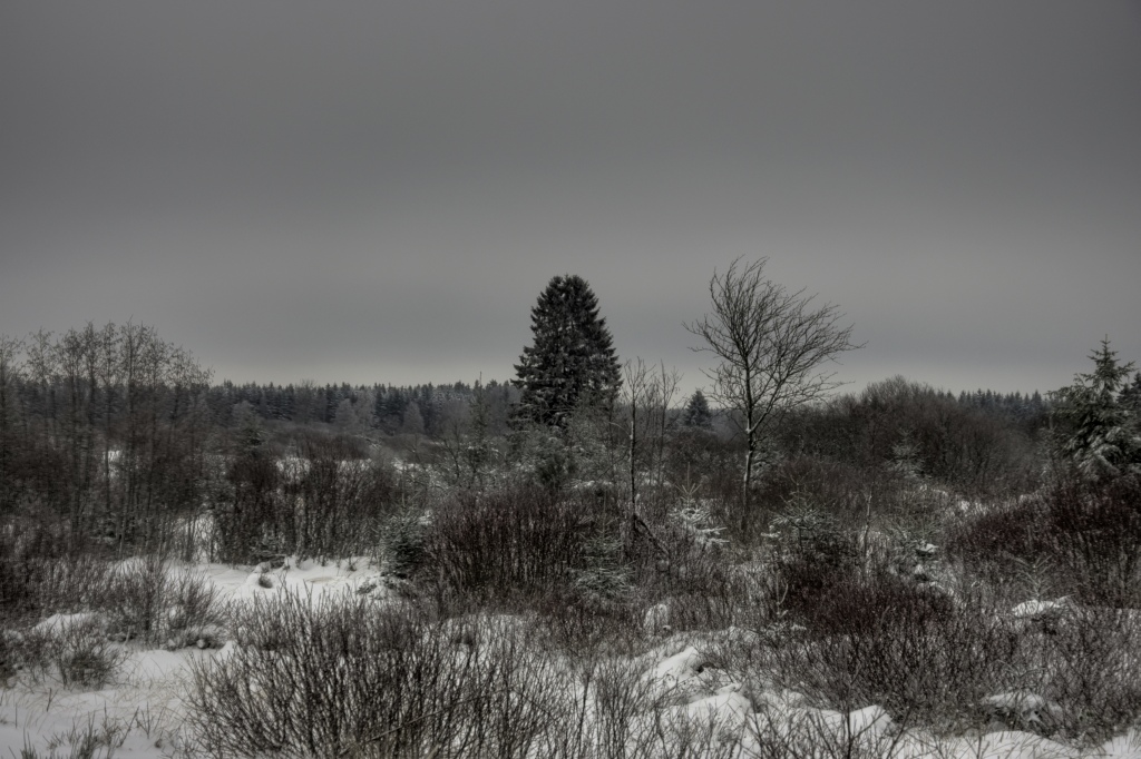 Winterimpressionen im Nahtsiefvenn (06.12.2010)