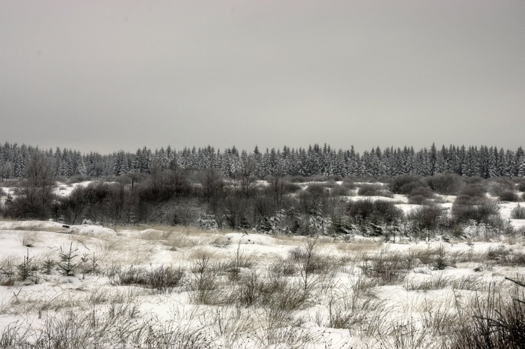 Winterimpressionen im Nahtsiefvenn (06.12.2010)