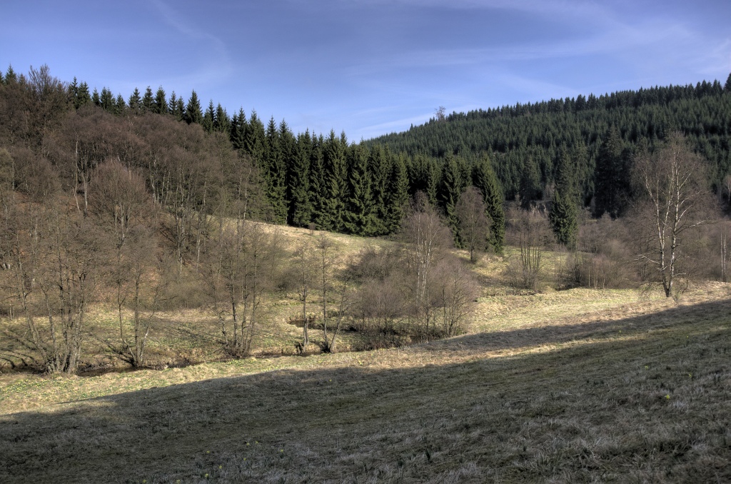 Narzissenwanderung im Oleftal bei Hollerath am 09.04.2011