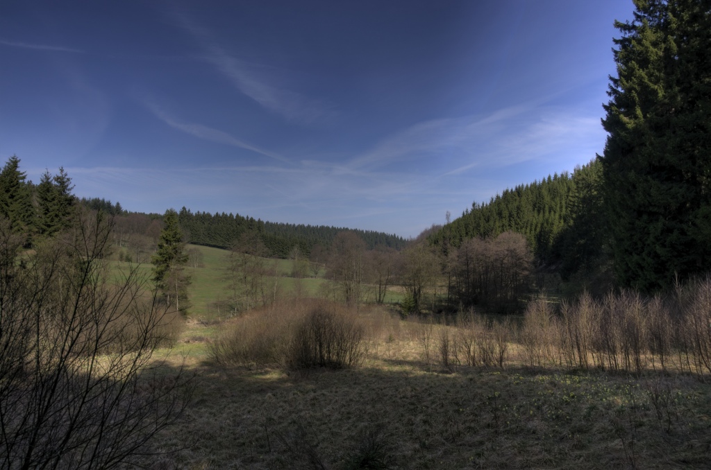 Narzissenwanderung im Oleftal bei Hollerath am 09.04.2011