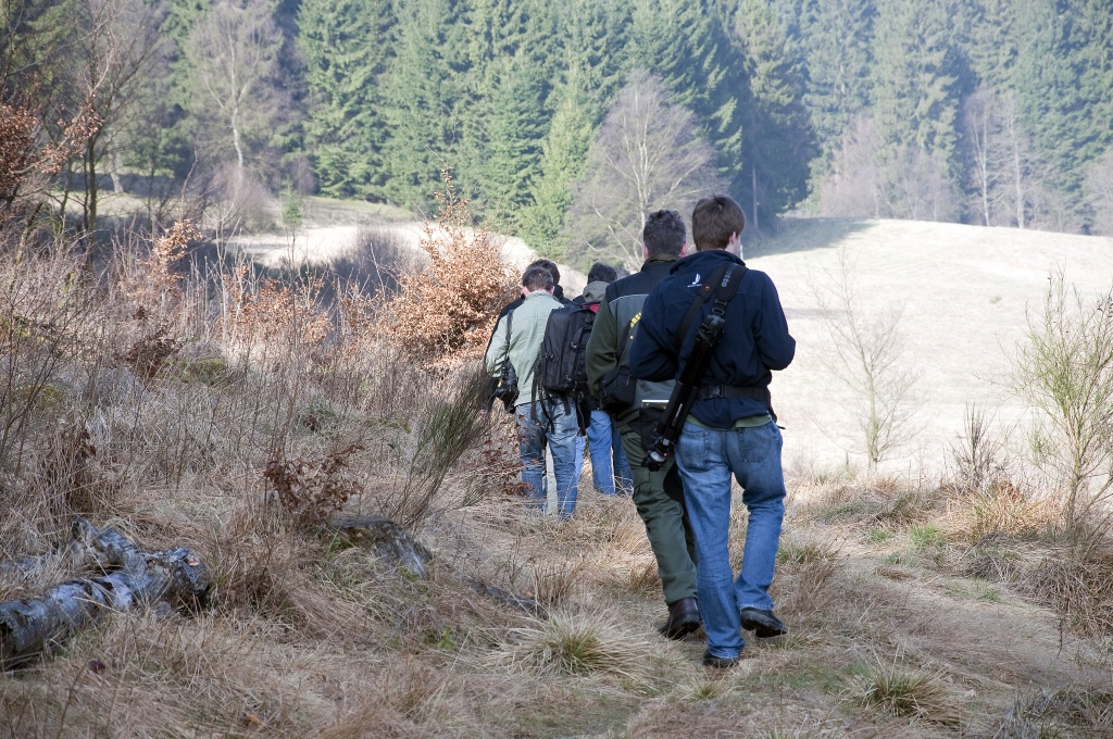 Narzissenwanderung im Oleftal bei Hollerath am 09.04.2011