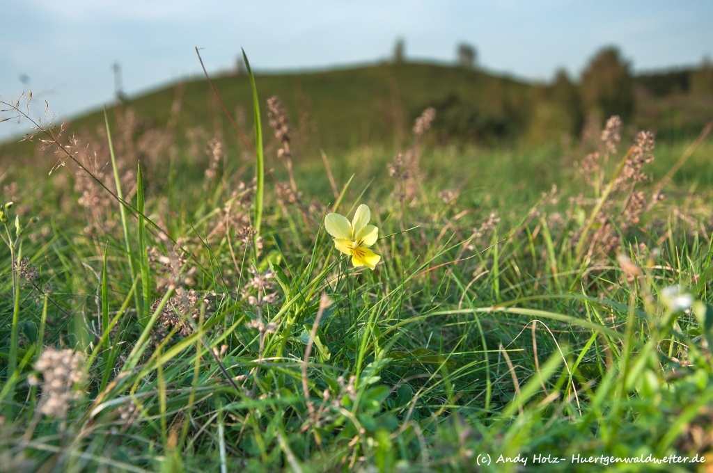 Vom Spätsommer zum Goldenen Oktoberbeginn- Die schönsten Momente des Frühherbstes 2011