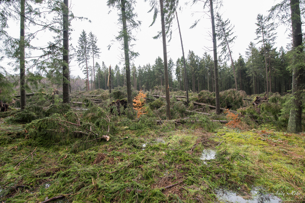 Ein paar Eindrücke nach dem Roetgener Tornado (13.03.2019)