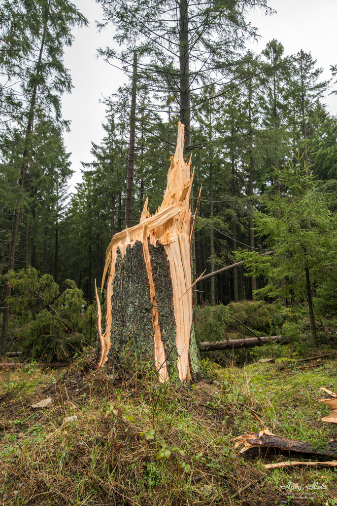 Ein paar Eindrücke nach dem Roetgener Tornado (13.03.2019)