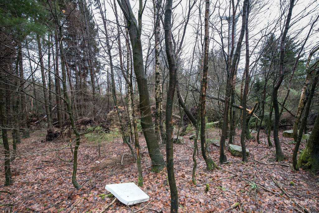 Ein paar Eindrücke nach dem Roetgener Tornado (13.03.2019)