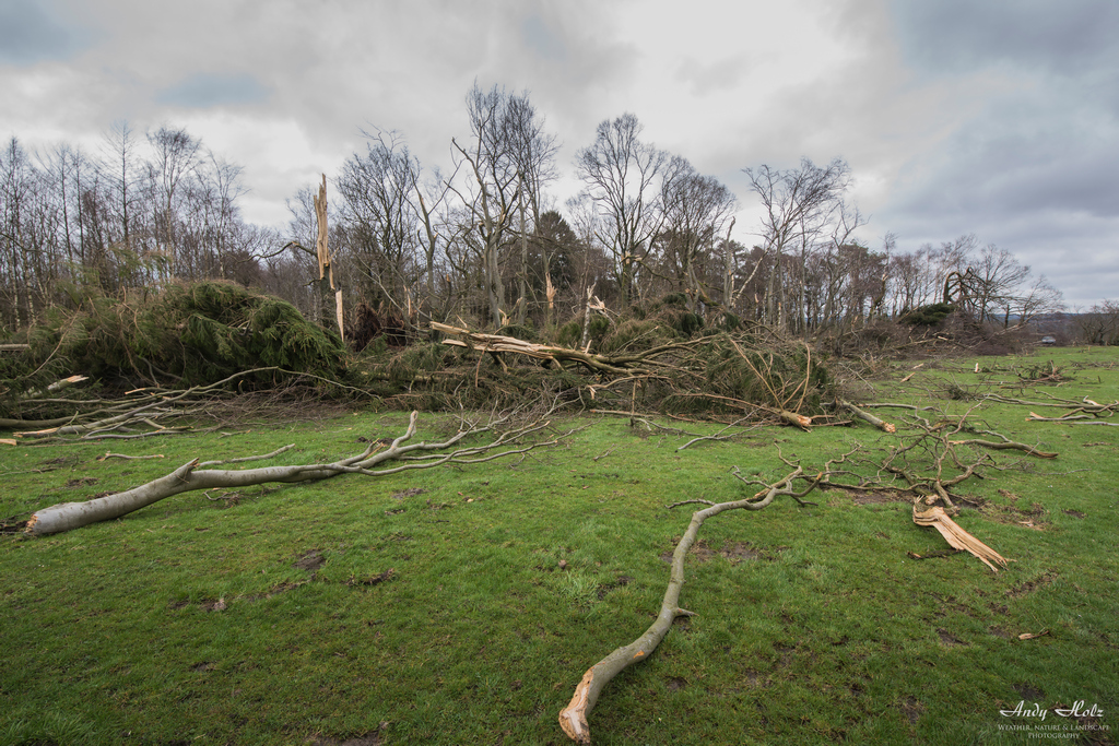 Ein paar Eindrücke nach dem Roetgener Tornado (13.03.2019)