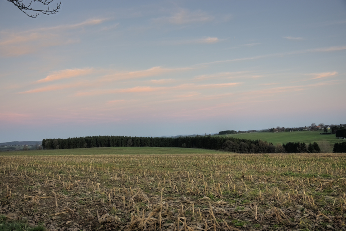 Herrrlicher Novembertag in Vossenack