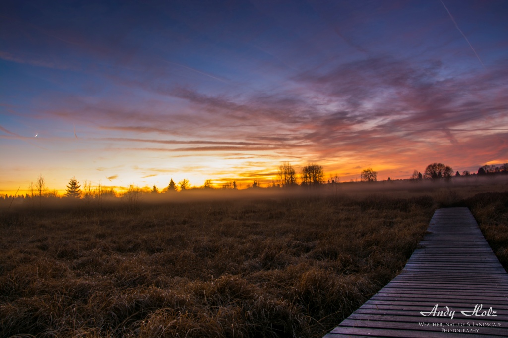 Die schönsten Momente des Herbstes 2014 in über 100 Bildern