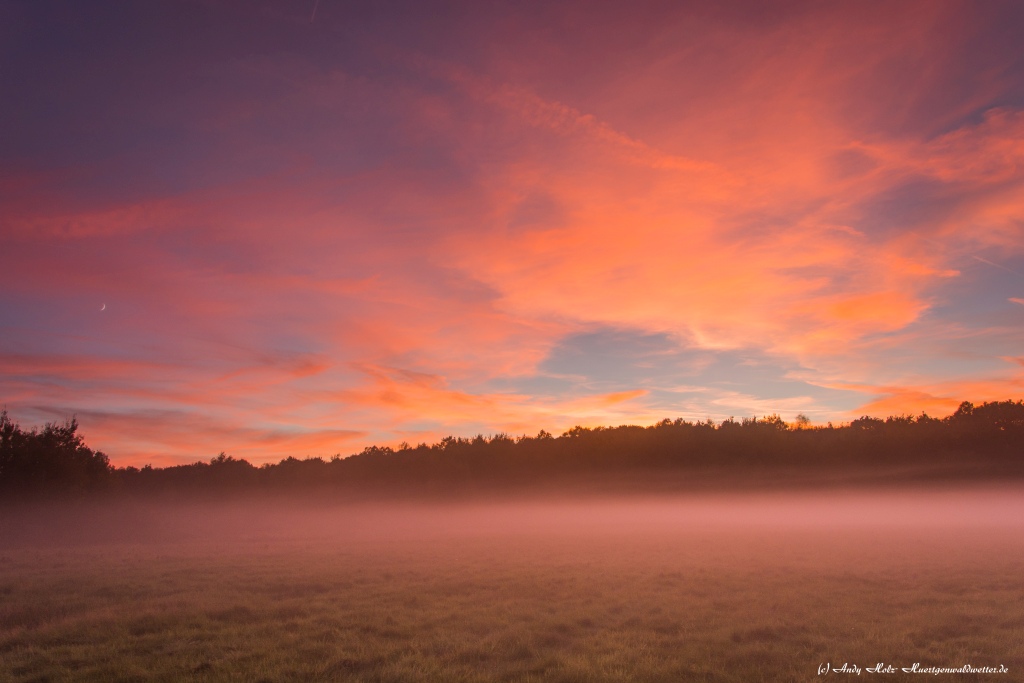 Die schönsten Momente des Herbstes 2014 in über 100 Bildern