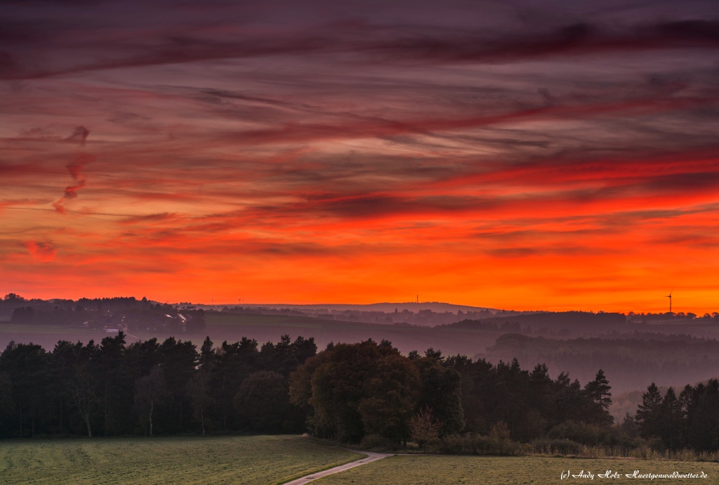 Die schönsten Momente des Herbstes 2014 in über 100 Bildern