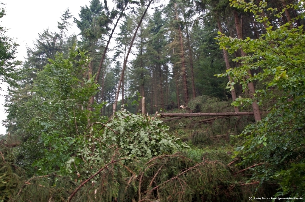 Schweres Gewitter mit Downburst über Hürtgenwald und dem Kalltal am 27.07.2012