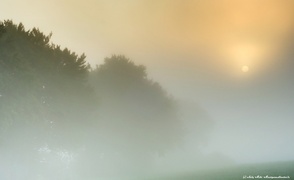 Traumhafter Sonnenaufgang über dem Nebel am Rursee (27.09.2013)