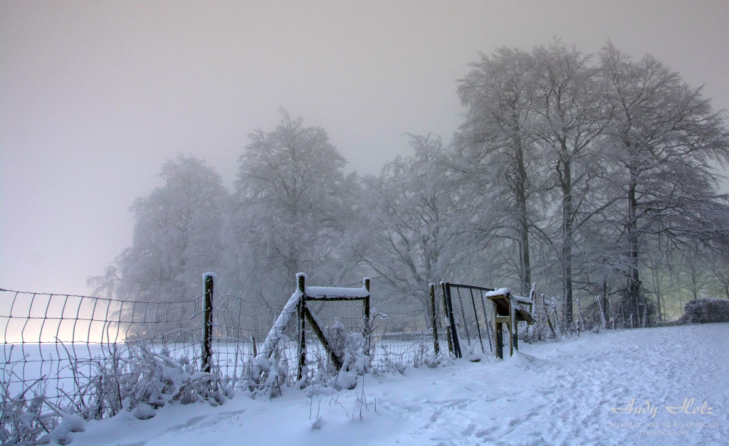 Der Winter 2014/2015 in der Rureifel und im Hohen Venn 