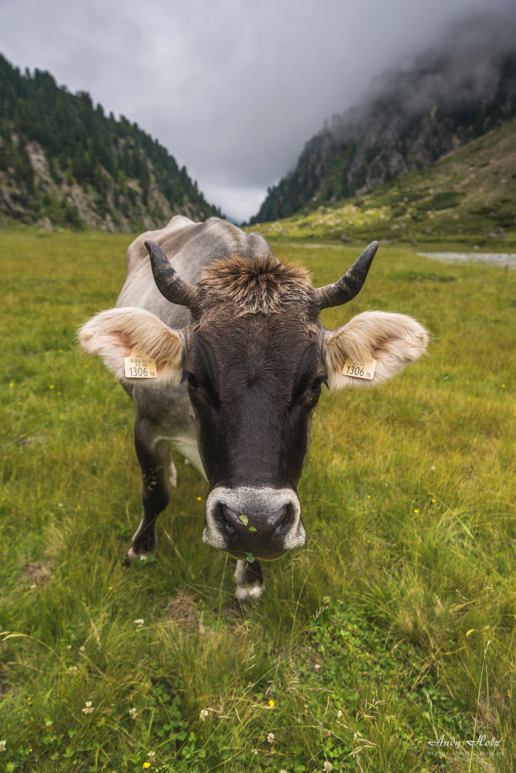 Sulzenau-Alm