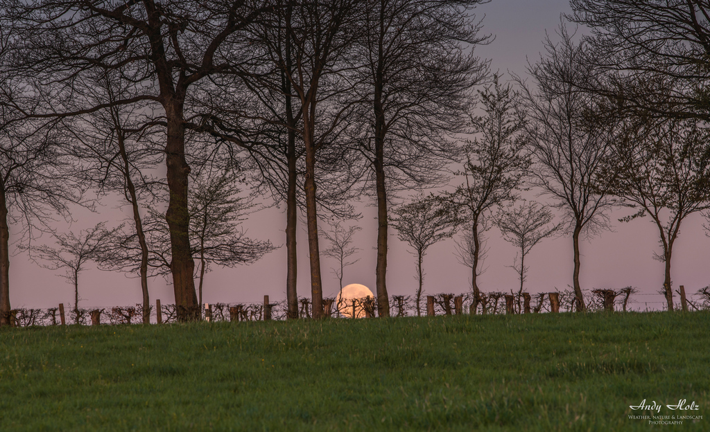 Der Frühling 2019 in der Eifelregion