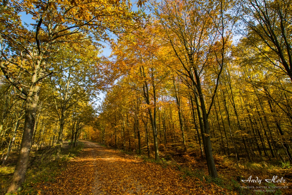 Die schönen Momente des Herbstes 2015 in der Eifel