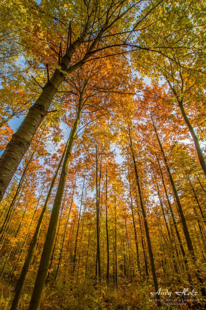 Die schönen Momente des Herbstes 2015 in der Eifel