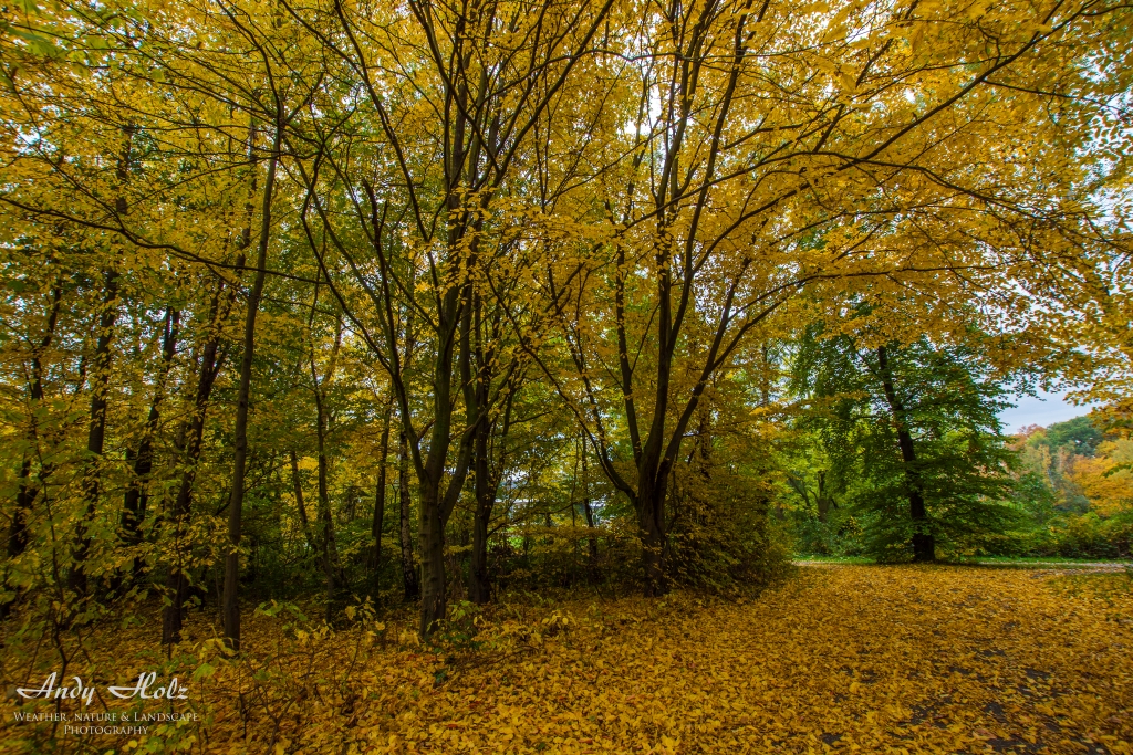 Die schönen Momente des Herbstes 2015 in der Eifel