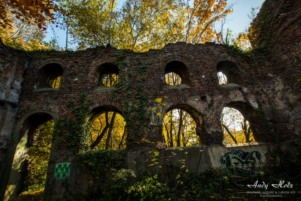 Die schönen Momente des Herbstes 2015 in der Eifel