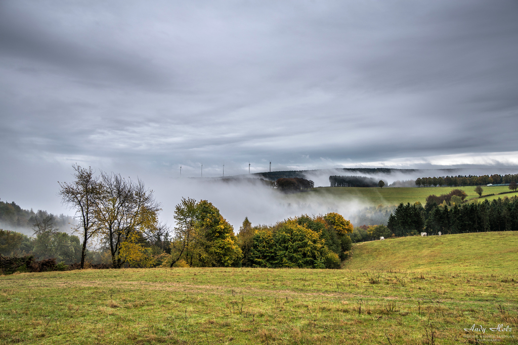 Der Herbst 2016 in der Eifelregion 