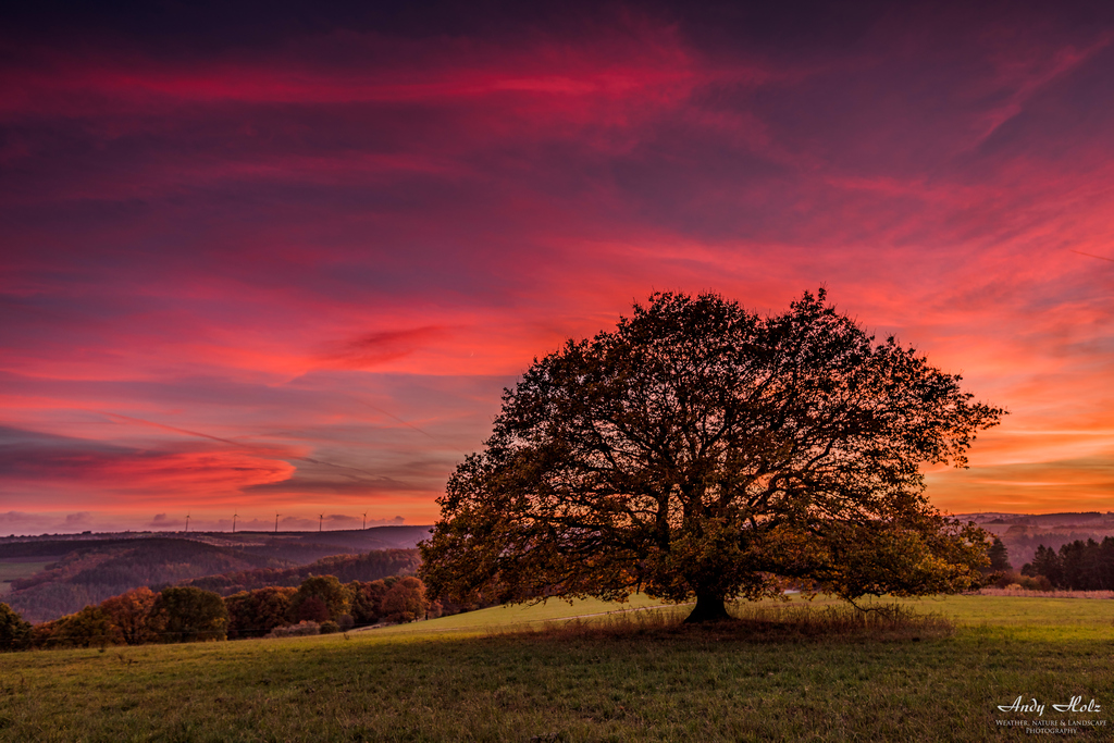 Der Herbst 2016 in der Eifelregion 