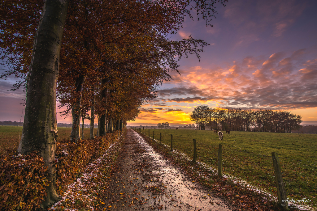 Der Herbst 2016 in der Eifelregion 