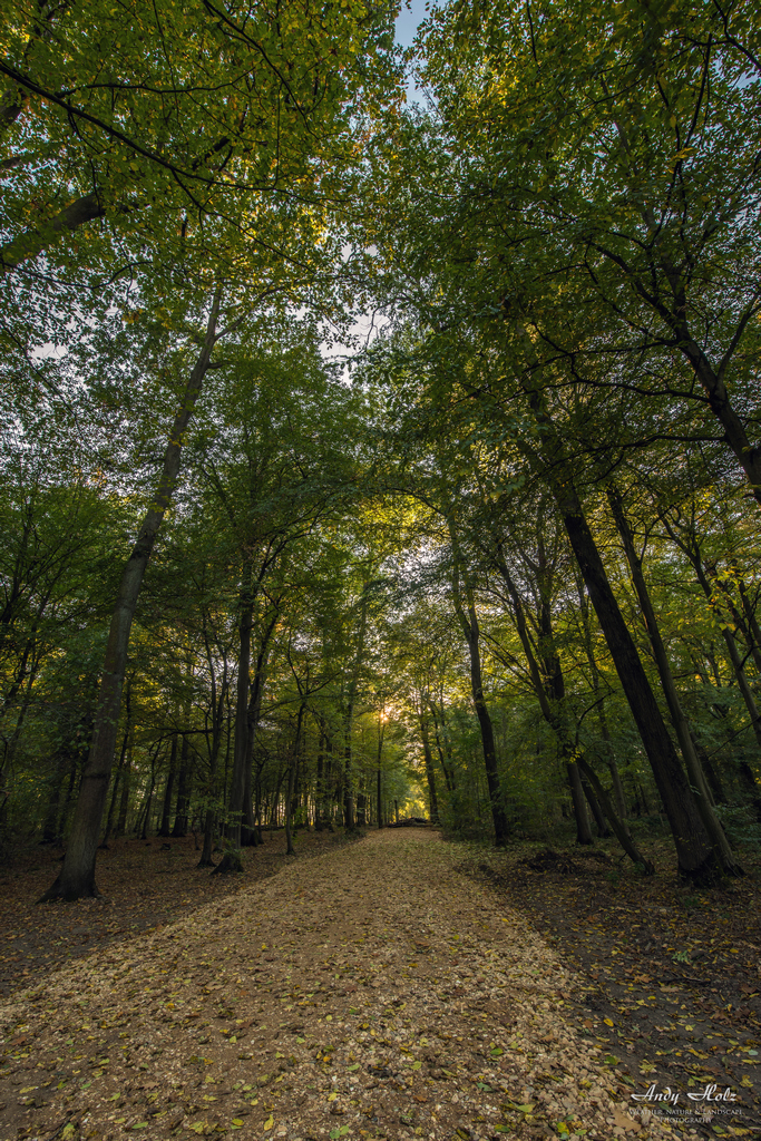 Der Herbst 2018 in Bildern