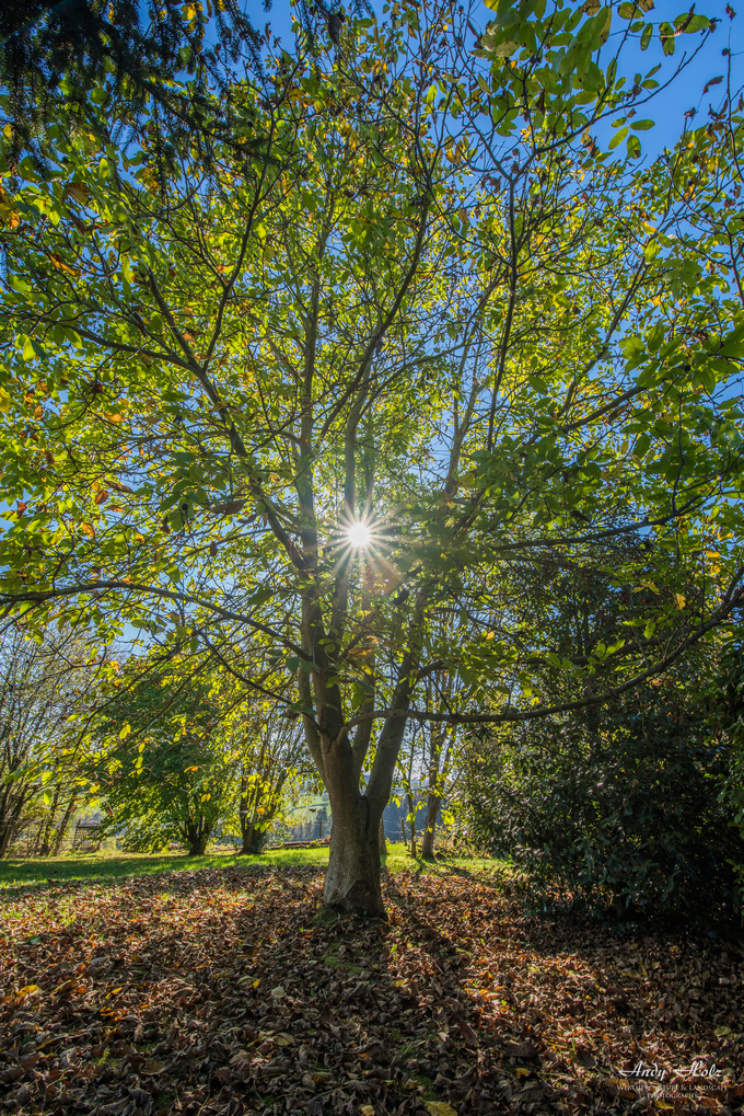 Der Herbst 2018 in Bildern