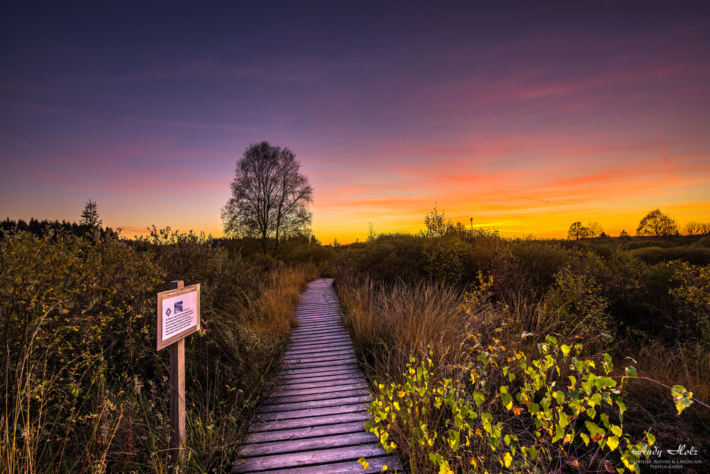 Der Herbst 2018 in Bildern