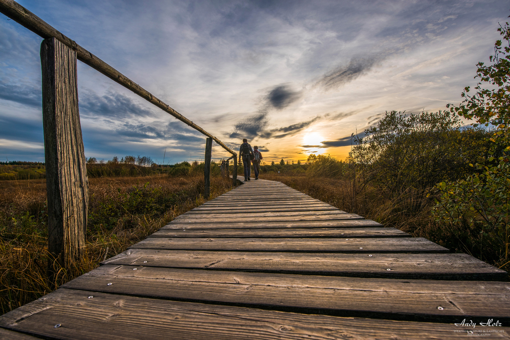 Der Herbst 2019 in Bildern