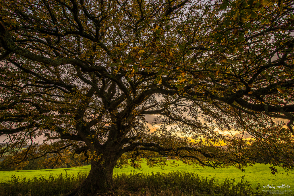 Der Herbst 2019 in Bildern