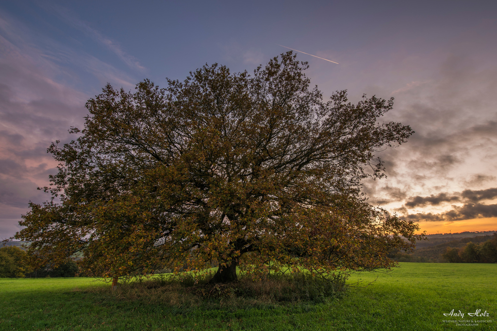 Der Herbst 2019 in Bildern