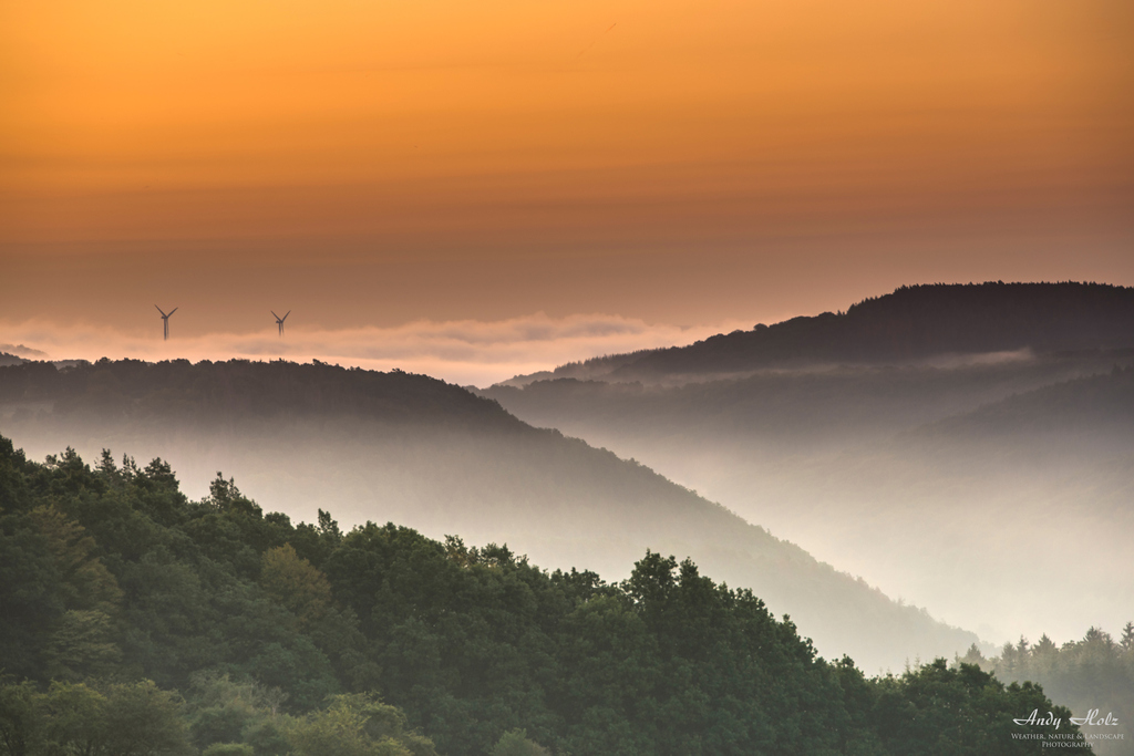 Der Herbst 2019 in Bildern