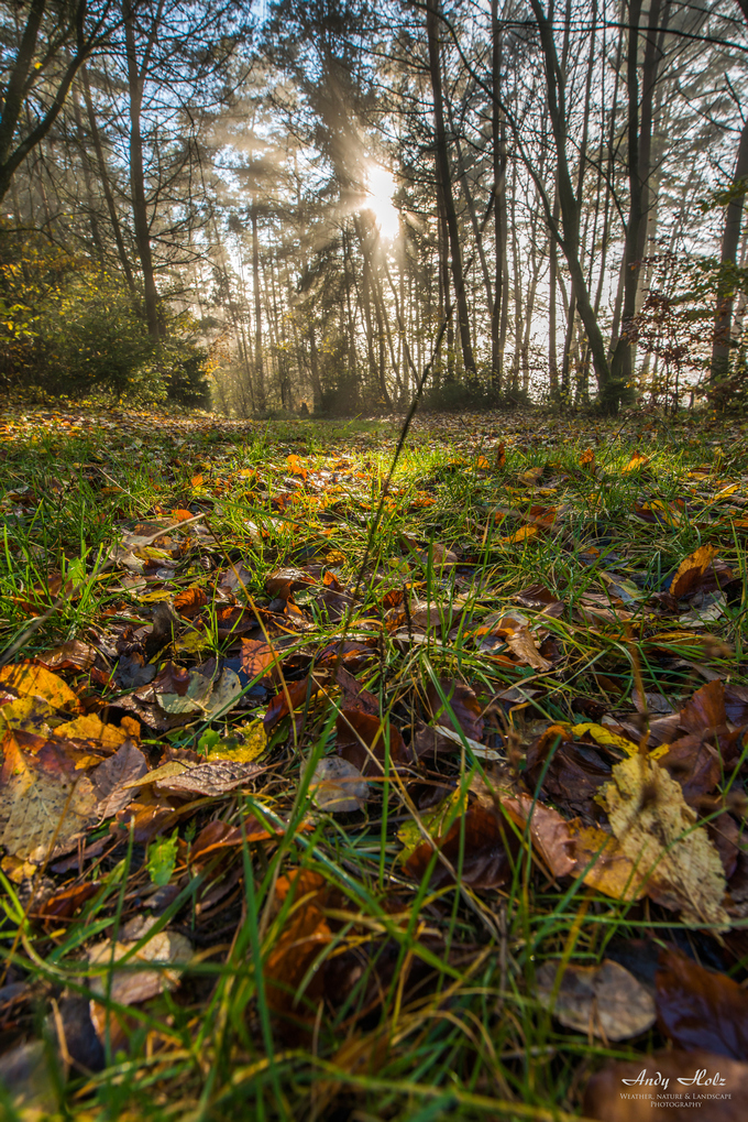 Der Herbst 2019 in Bildern