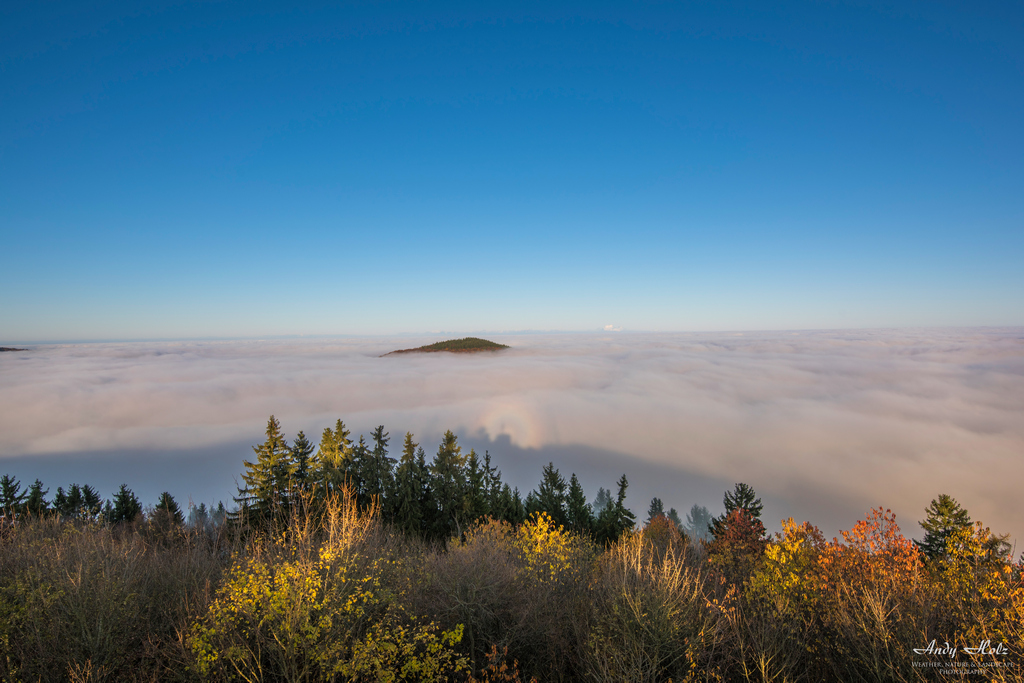 Der Herbst 2019 in Bildern