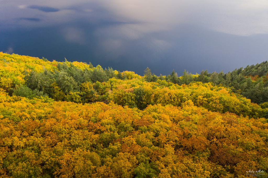 Der Herbst 2020 in der Rureifel