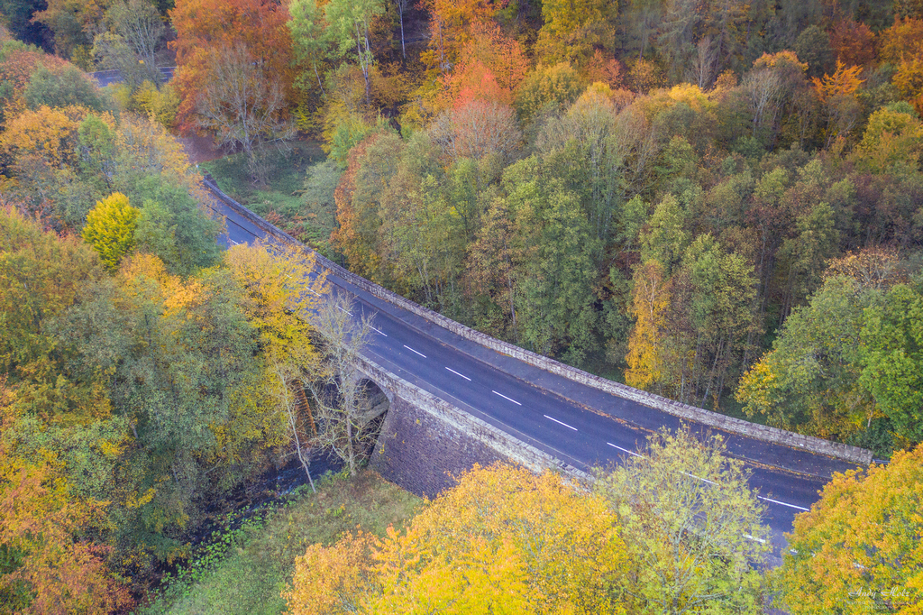 Der Herbst 2020 in der Rureifel