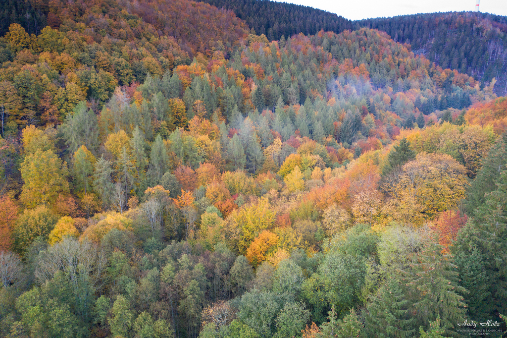 Der Herbst 2020 in der Rureifel