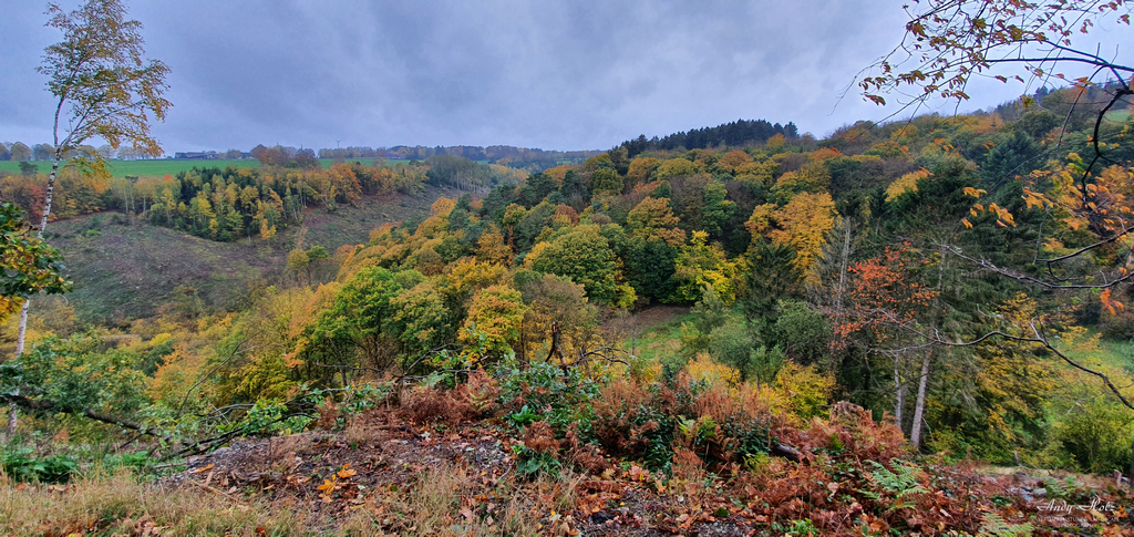 Der Herbst 2020 in der Rureifel