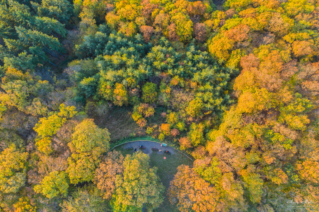 Der Herbst 2020 in der Rureifel