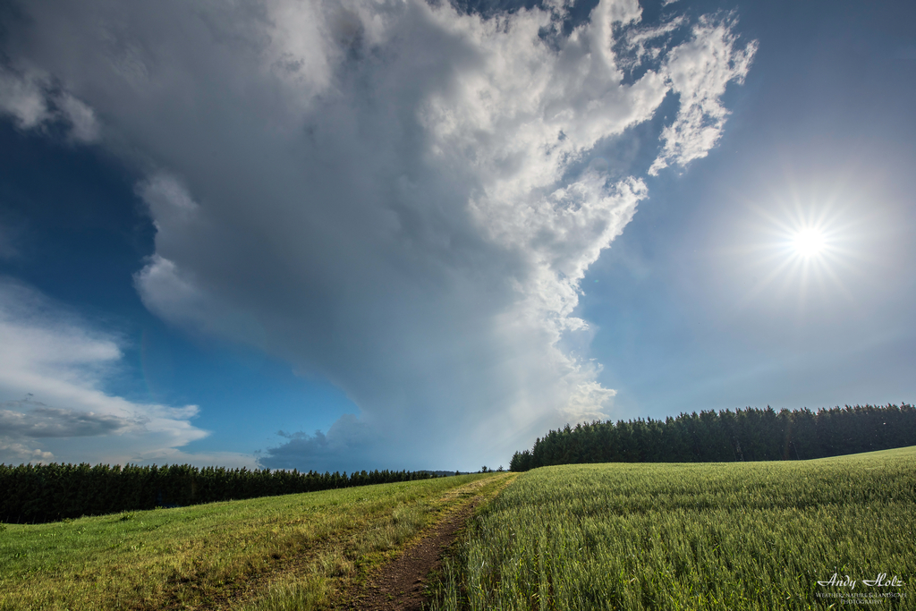 Der Sommer 2017 in der Eifelregion