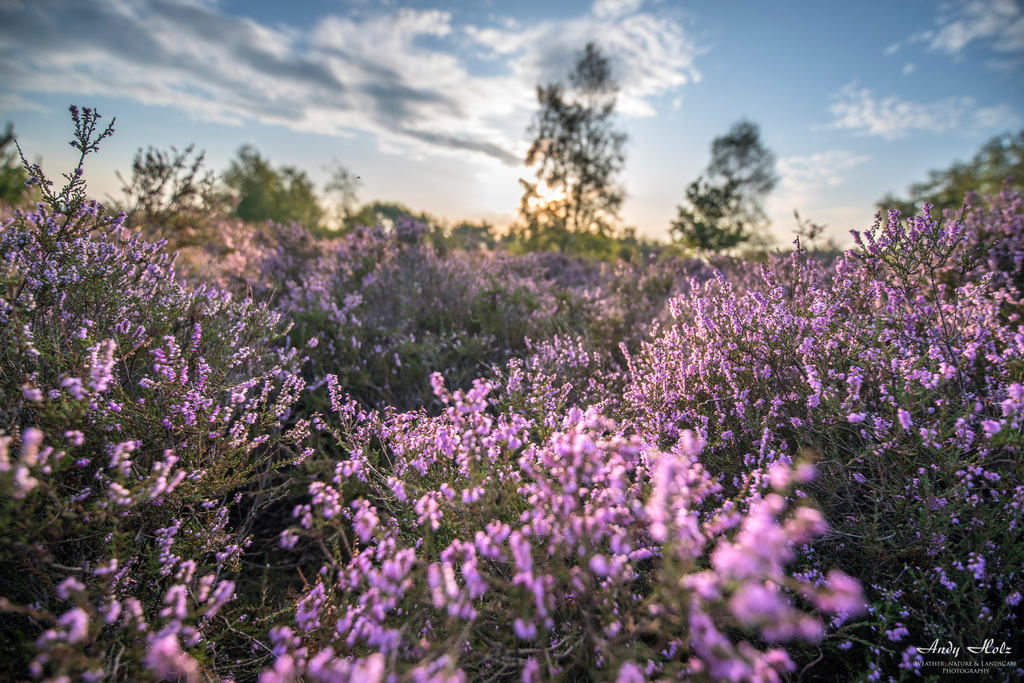 Der Sommer 2019 in der Eifelregion