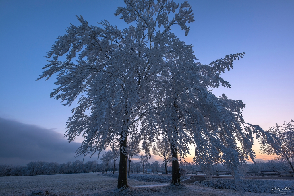 Der Winter 2020/2021 in der Rureifel